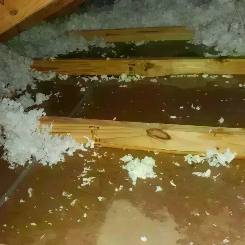 Attic Water Damage in Payne, OH