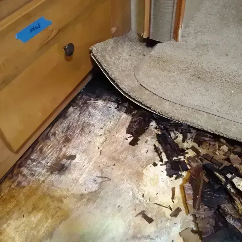 Wood Floor Water Damage in Payne, OH